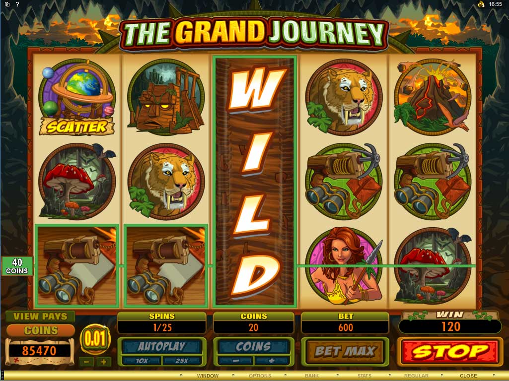 Wild Symbol slots: Play Free Games