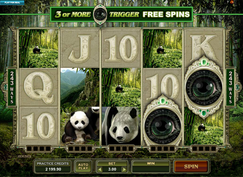 untamed giant panda screenshot