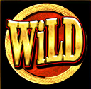 grand casino wild
