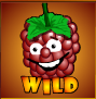 berry blast wild