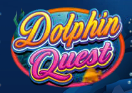 dolphins quest wild