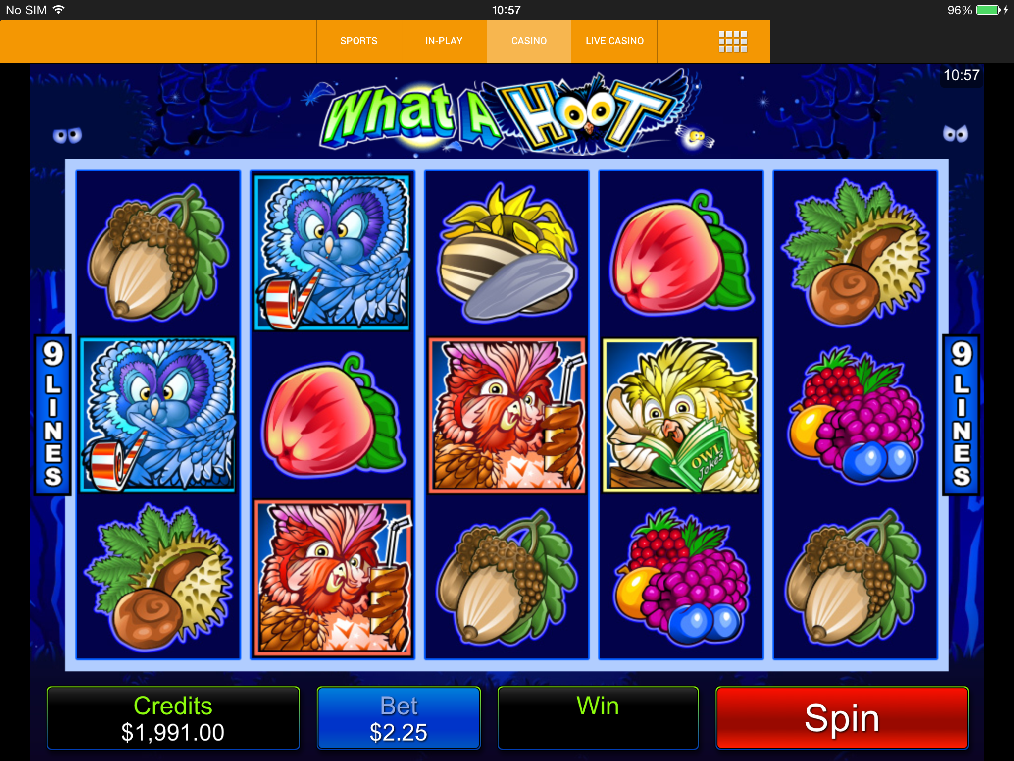 what a hoot slot review