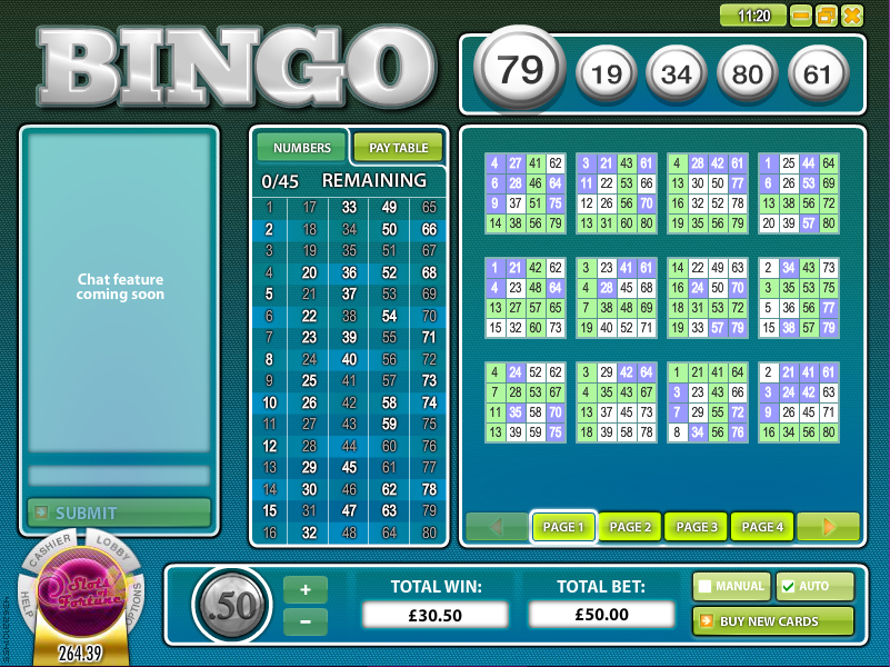 bingo 80 ball slot review