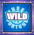 wheel of fortune wild