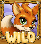 foxy fortunes wild