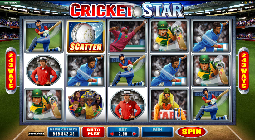 cricket star screenshot