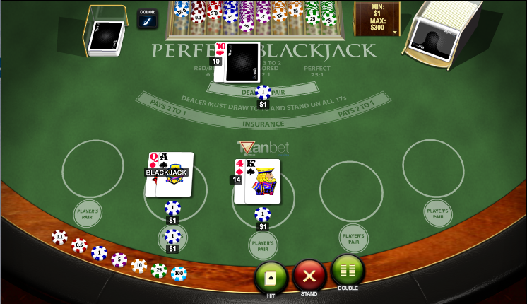 perfect blackjack screenshot