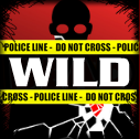 downtown wild