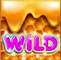 teddy bears picnic wild