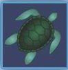 under the sea turtle