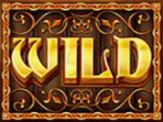 riches of camelot wild
