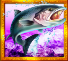 old fisherman fish