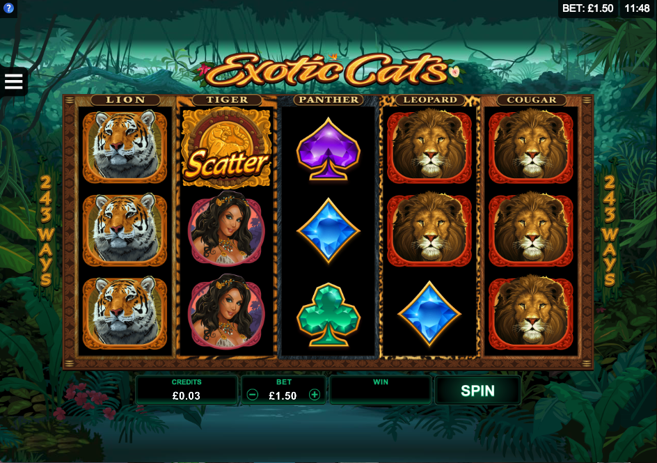 exotic cats screenshot