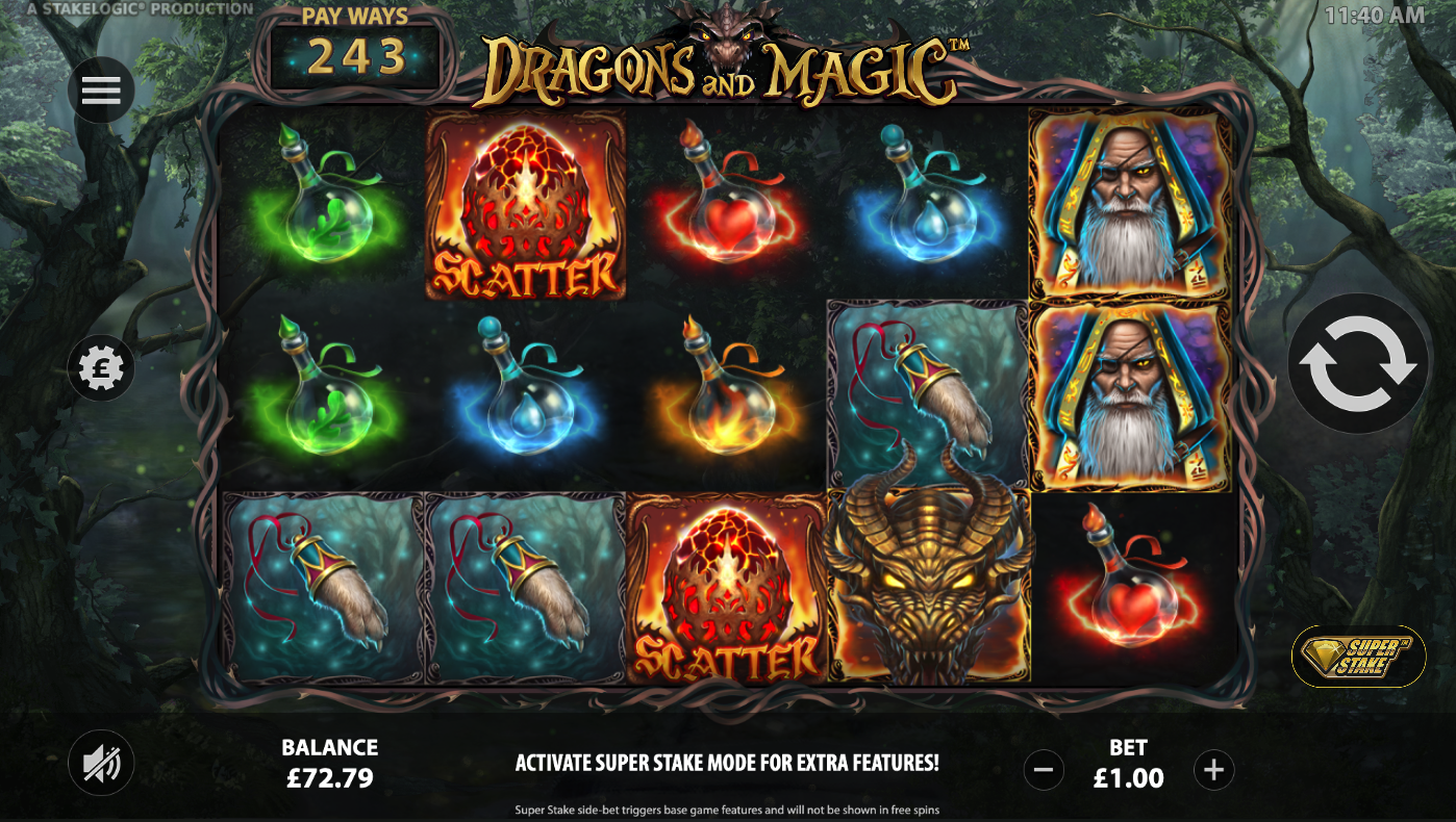 Dragons And Magic screenshot